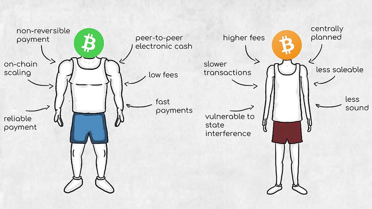 Bitcoin Cash so với Bitcoin thông qua phương tiện